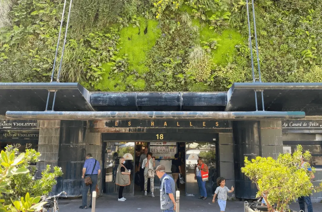 亞維儂莊園旅遊