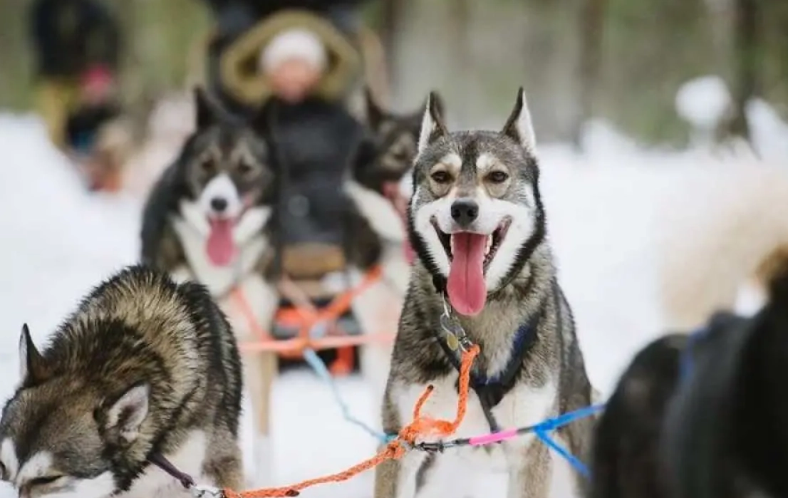 羅瓦涅米旅遊預算