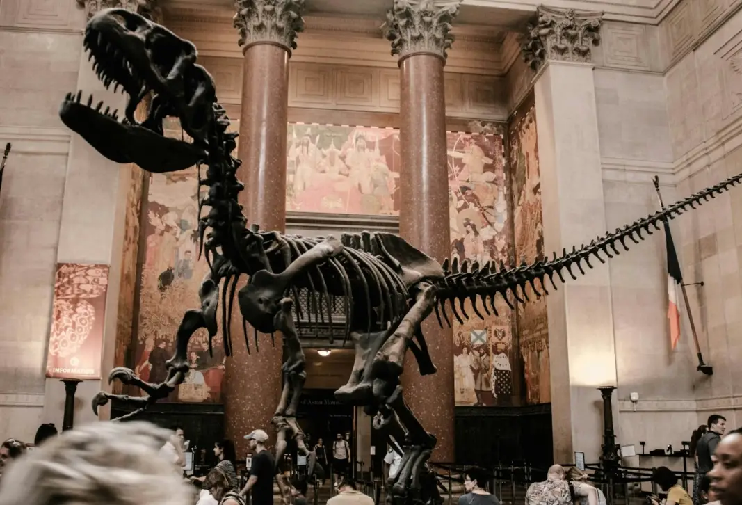 紐約博物館 免費參觀