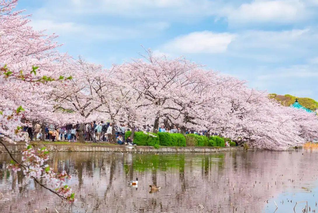 東京自由行攻略
