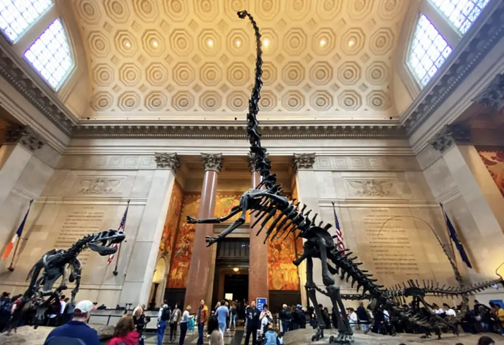 美國自然史博物館 免費