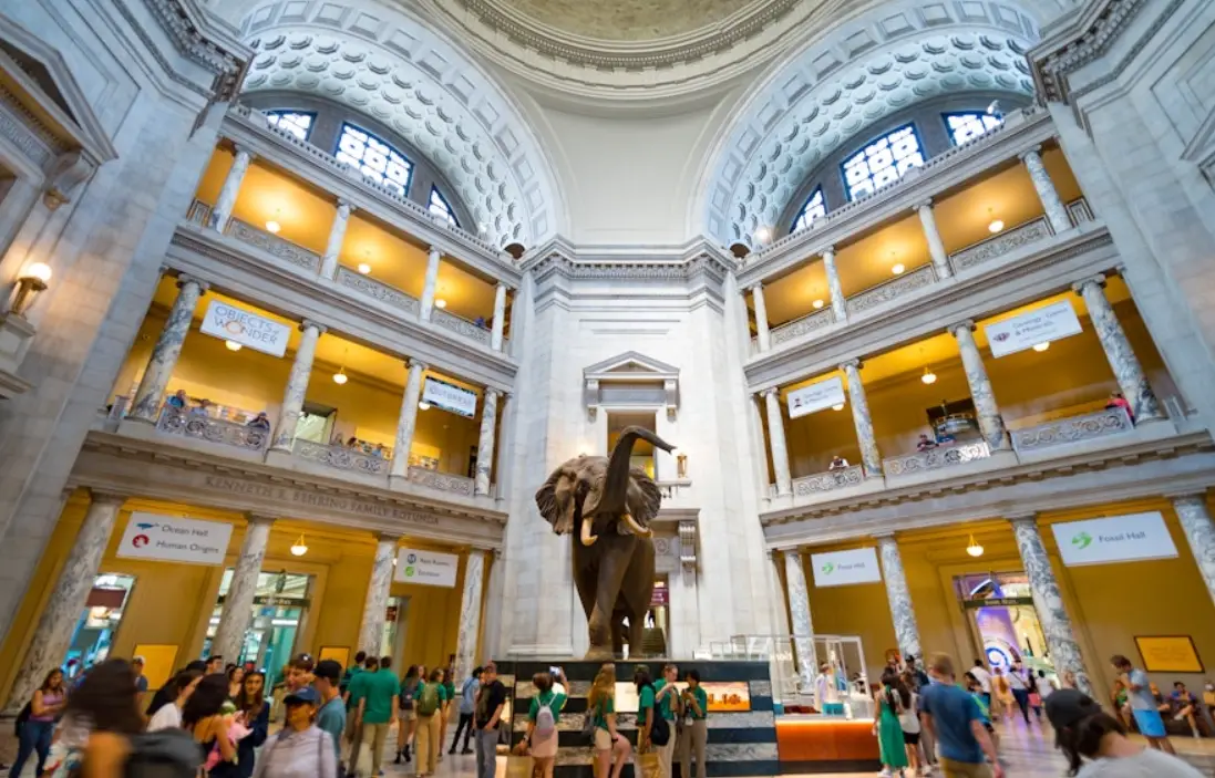 美國自然史博物館 免費