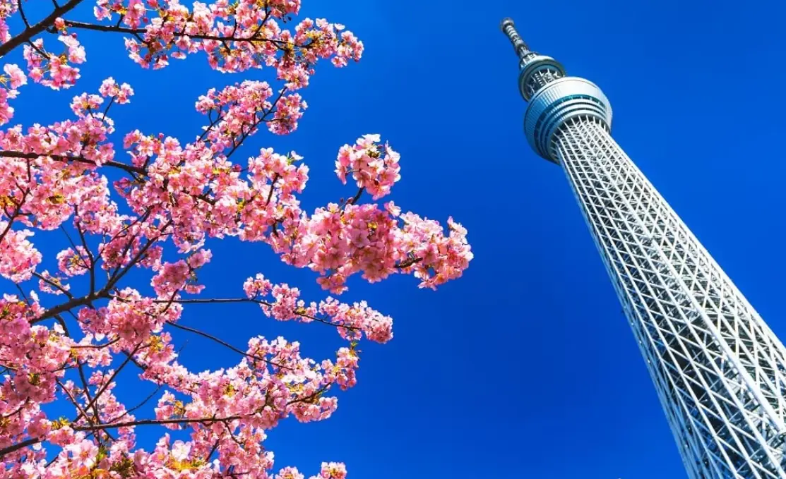 東京自由行攻略