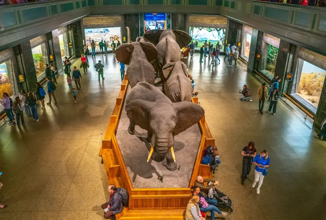 美國自然史博物館免費