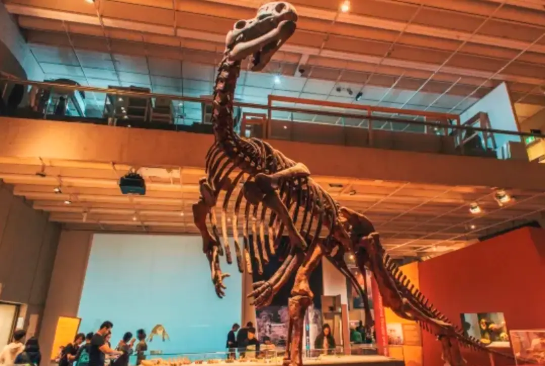 布里斯本旅遊攻略