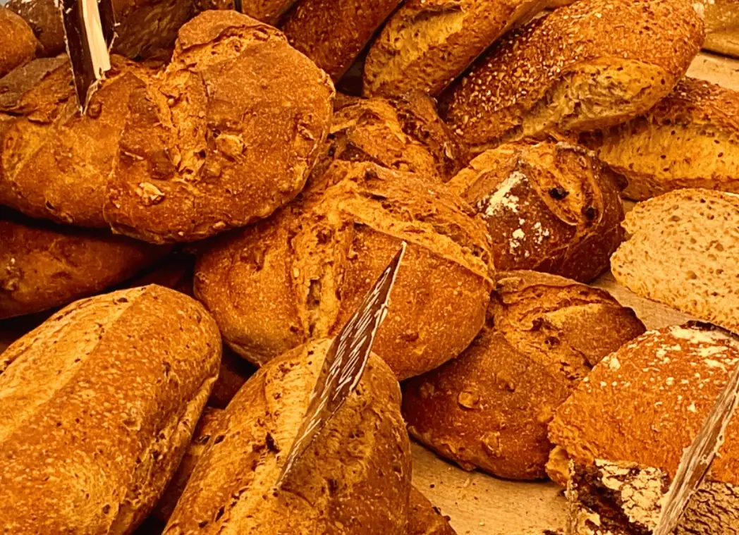 亞維儂料理食譜