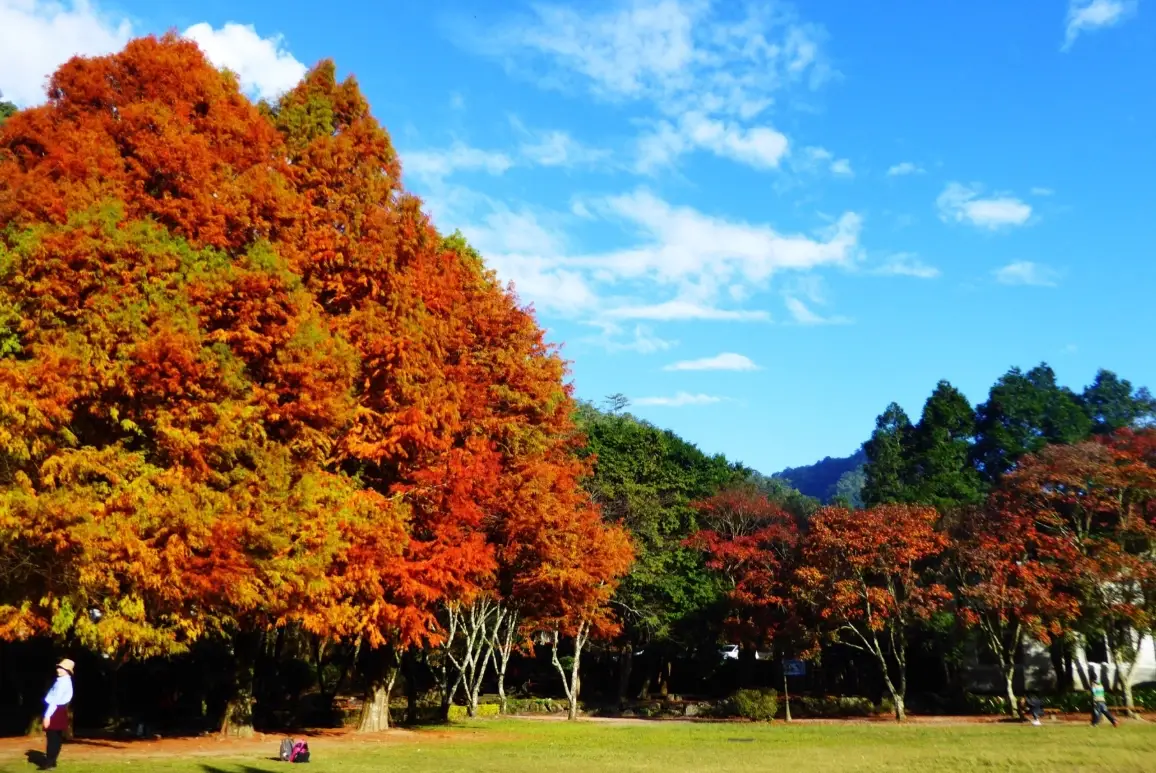 奧萬大交通方式