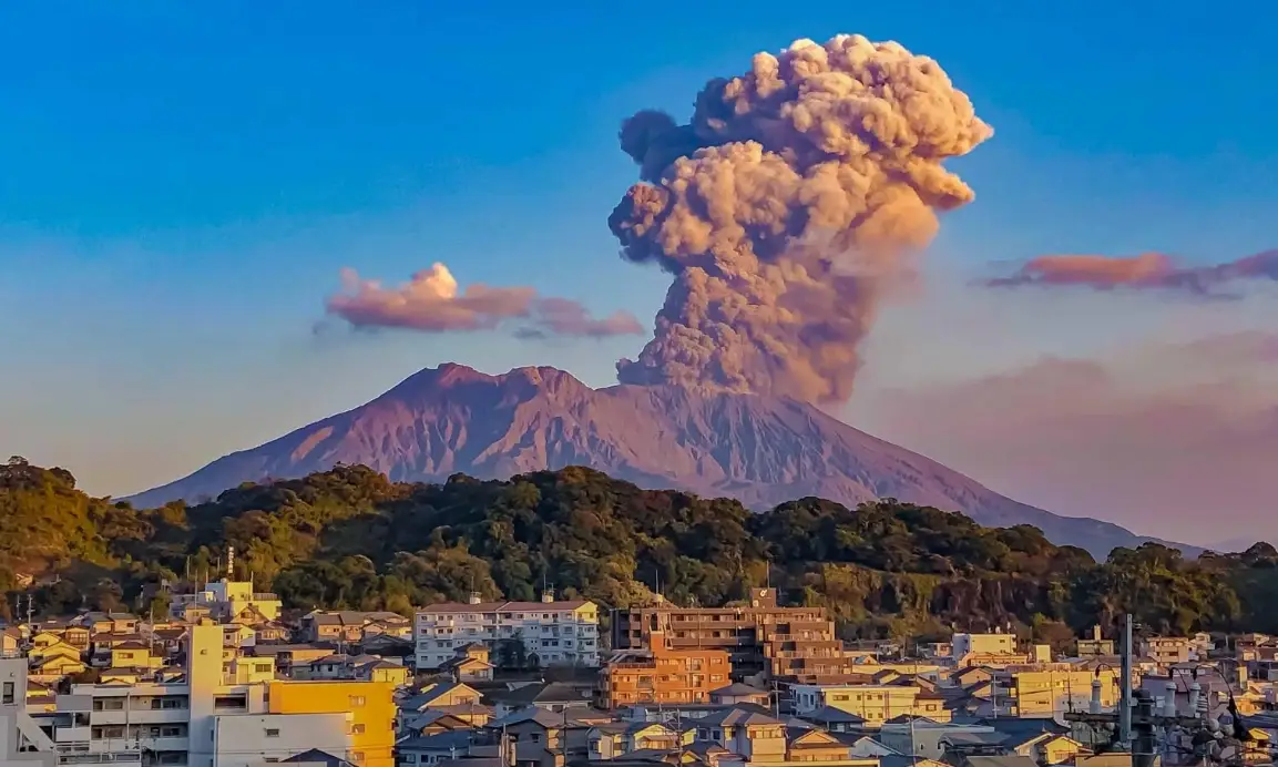 南九州 自由行 不自駕