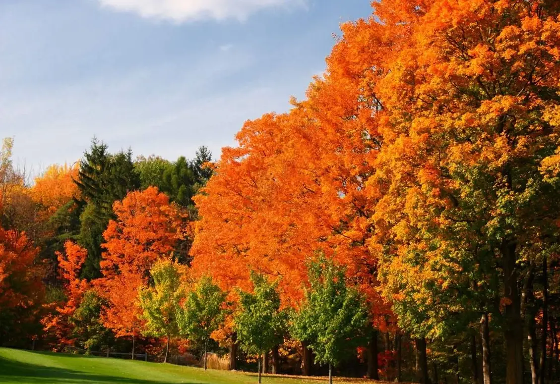 奧萬大交通方式