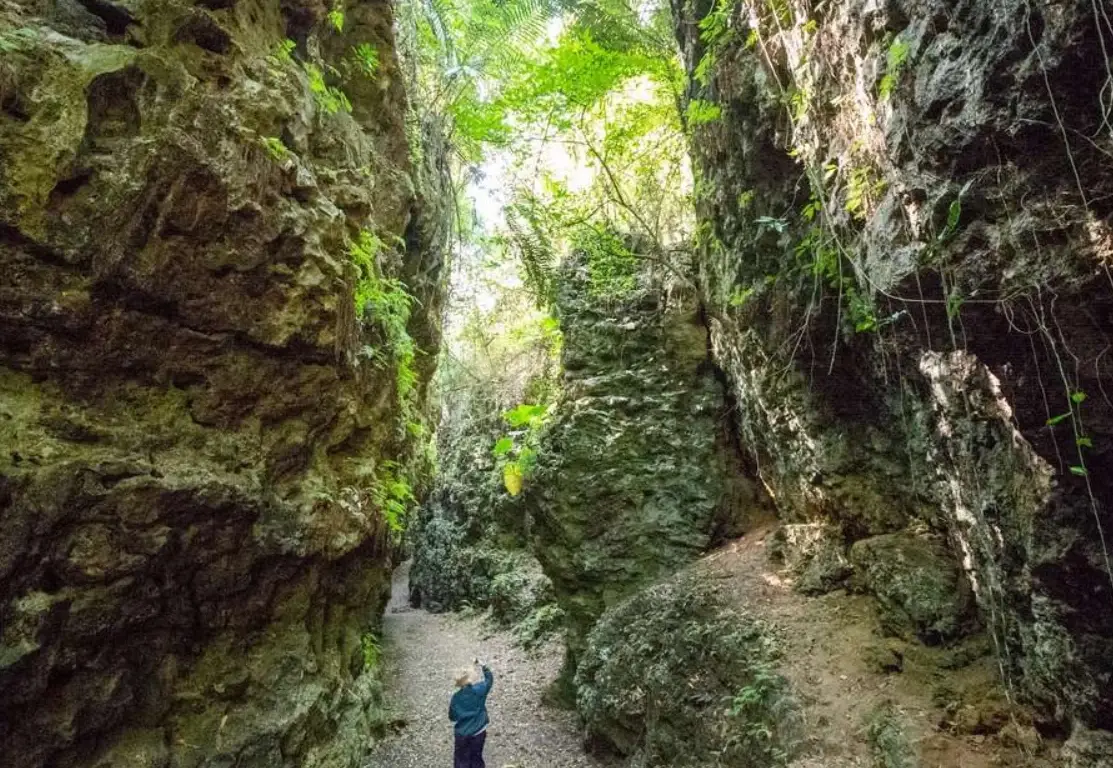 高雄月世界景點