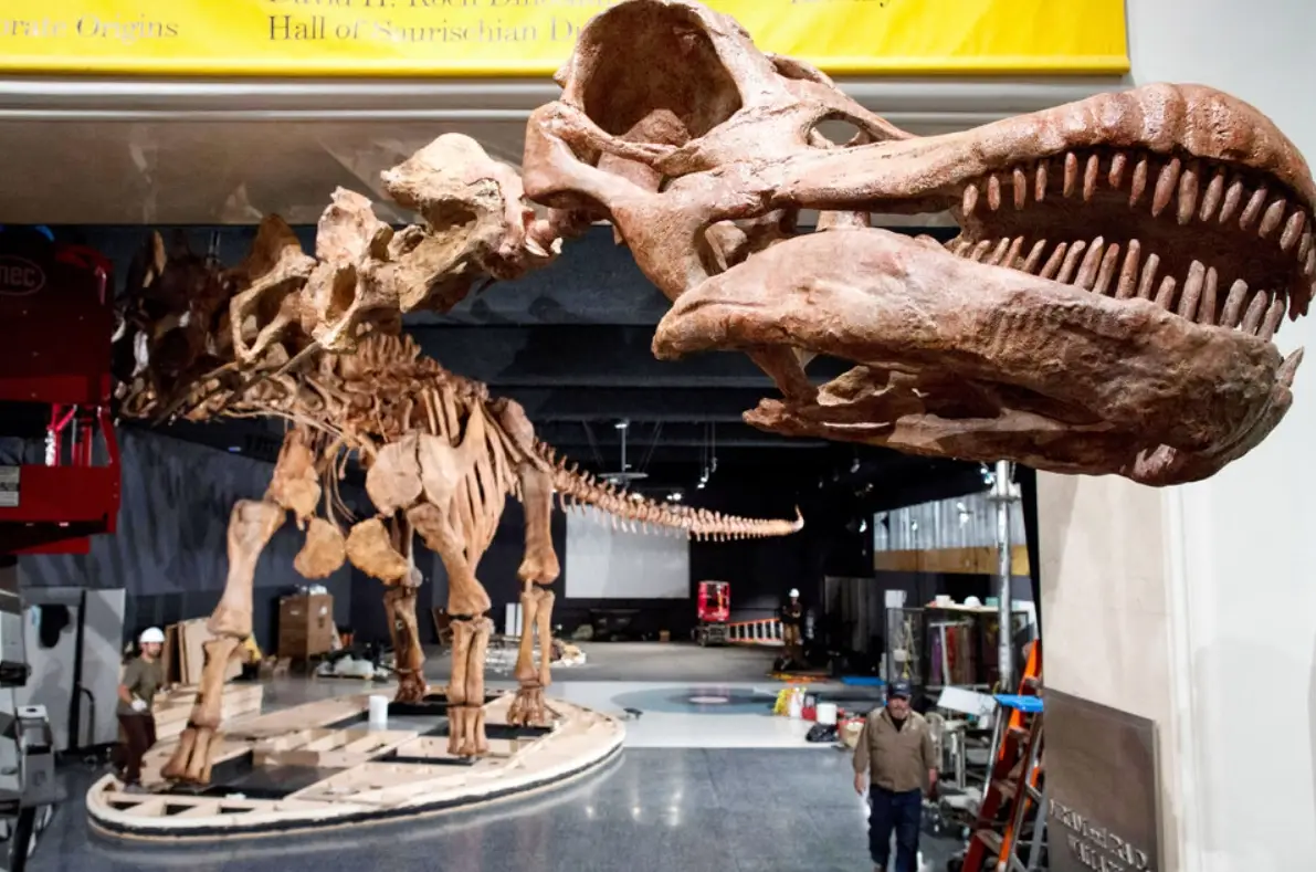 自然史博物館參觀攻略