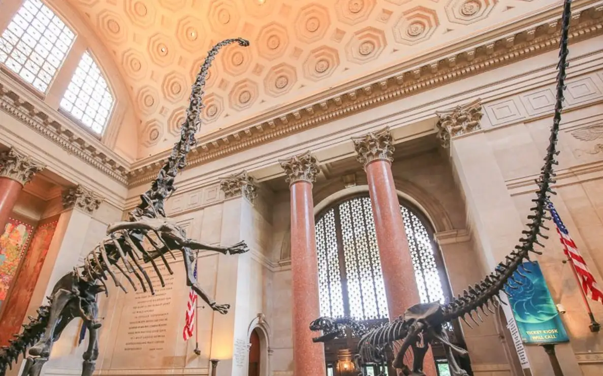 美國自然歷史博物館 門票