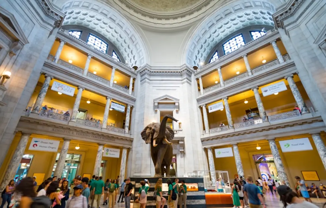 紐約自然歷史博物館 交通