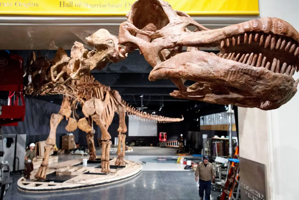 美國自然歷史博物館 門票