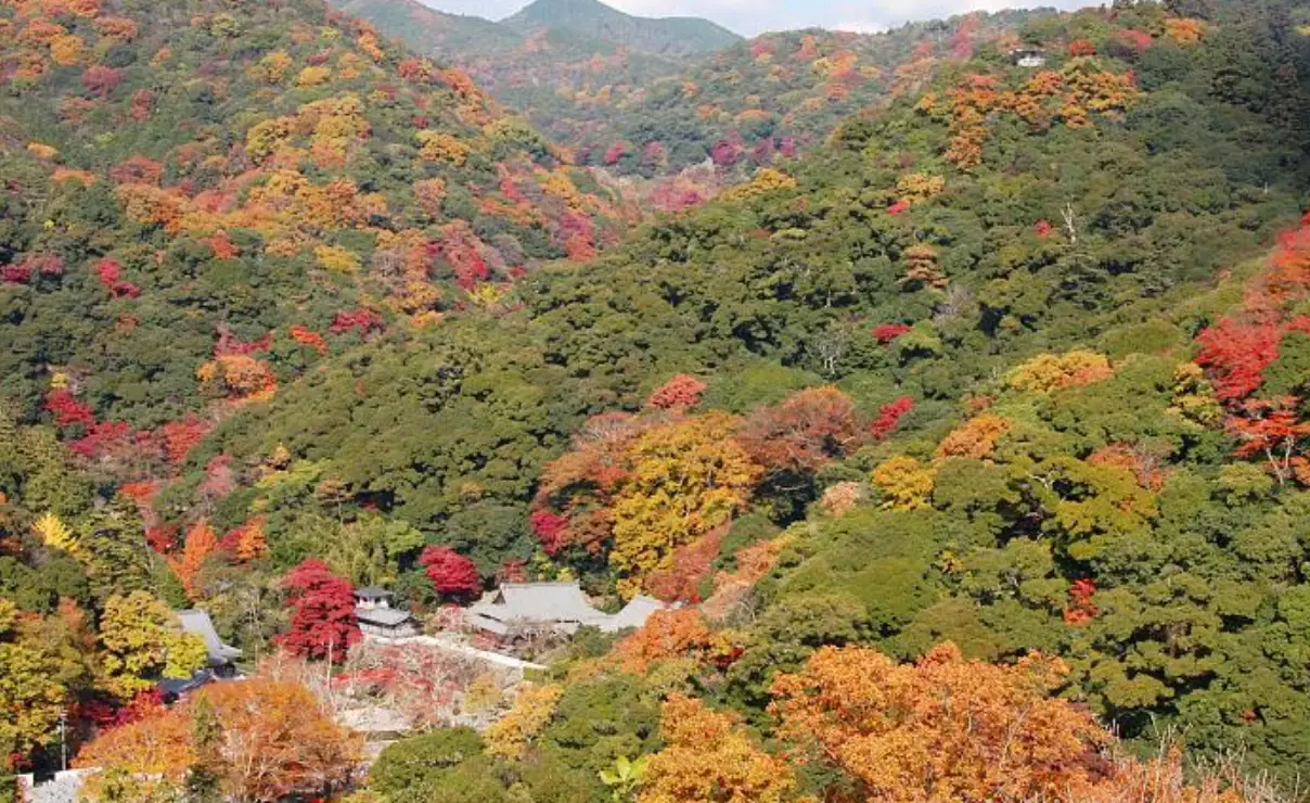 箕面公園 交通方式