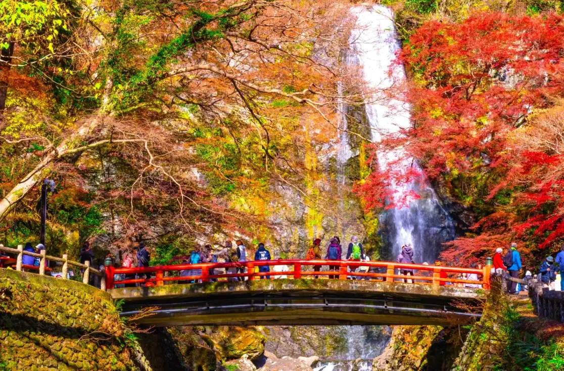 箕面公園交通全攻略：電車、巴士、自駕路線與行程規劃一次看懂