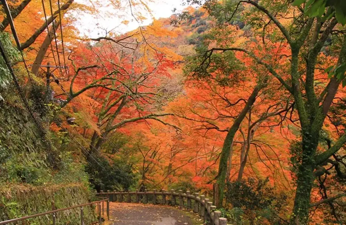 箕面公園 怎麼去