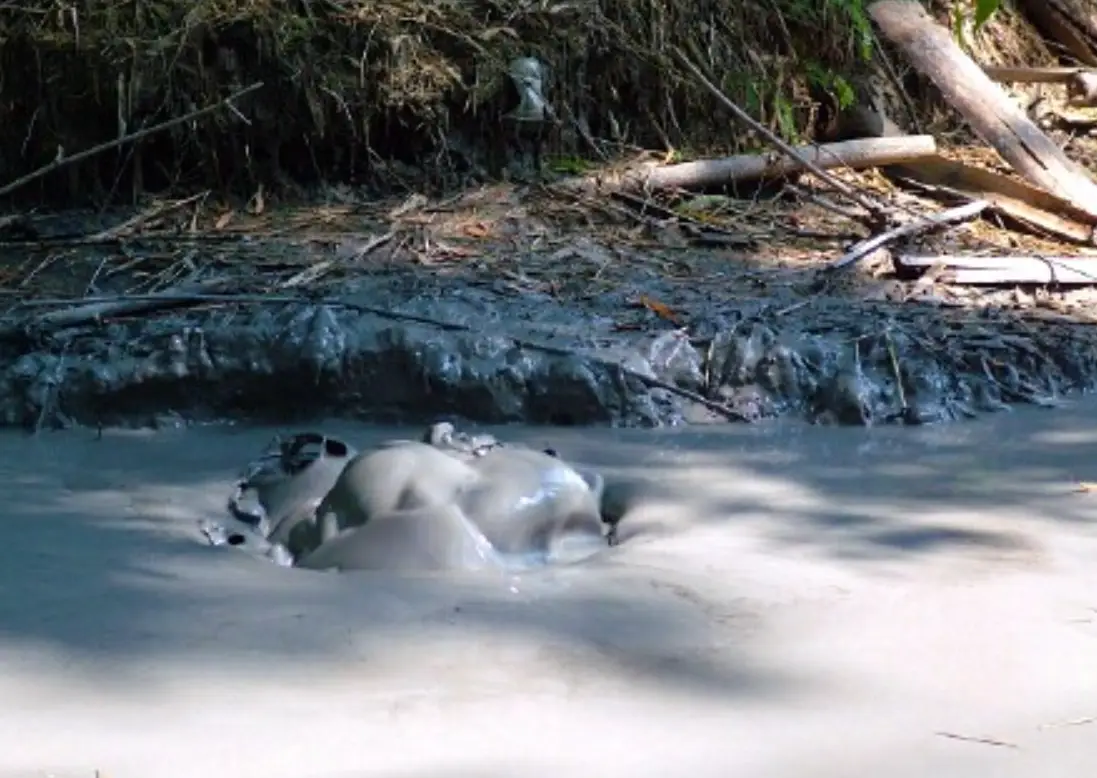 高雄月世界燈光秀