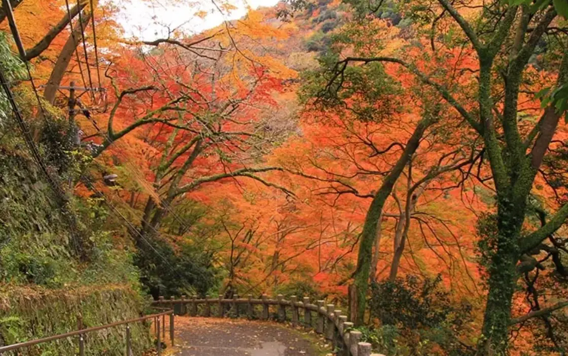 勝尾寺交通 勝尾寺交通
