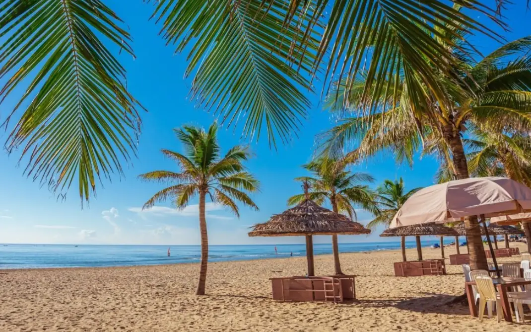 峴港自由行費用 峴港自由行費用