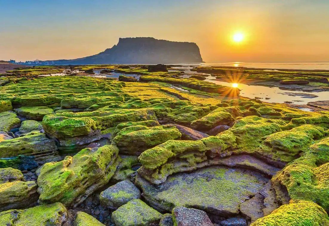 濟州島旅遊心得