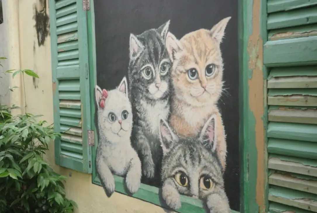 檳城秘境 檳城秘境