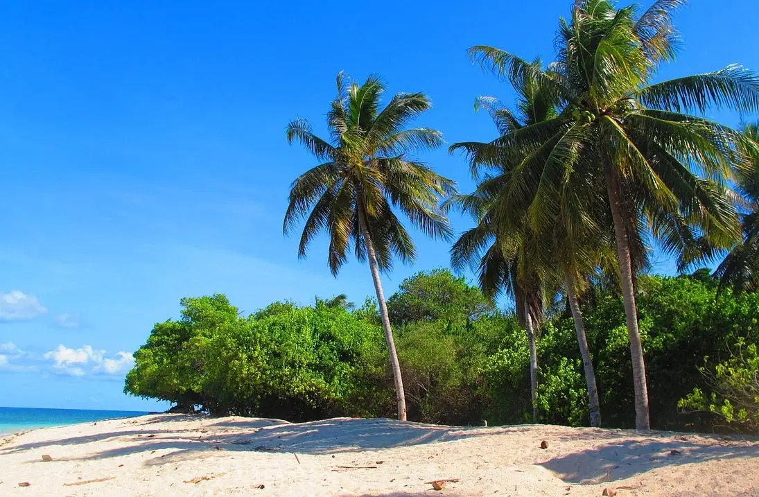沙巴旅遊攻略 沙巴旅遊攻略