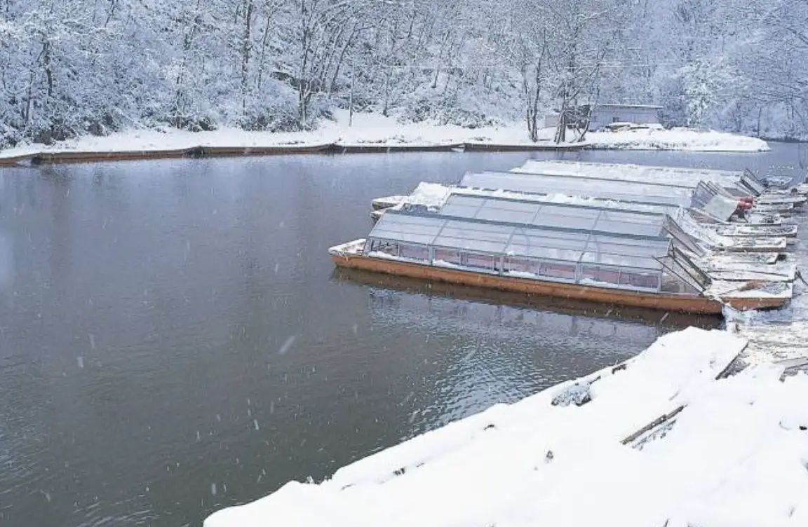 猊鼻溪 遊船 猊鼻溪 遊船