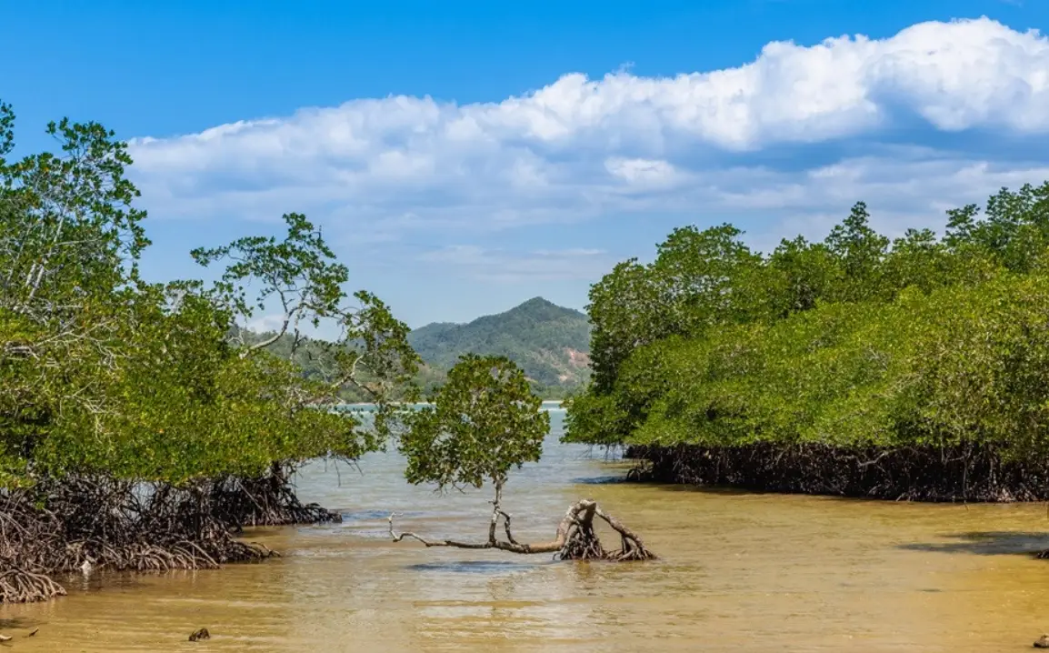 沙巴自由行天數 沙巴自由行天數