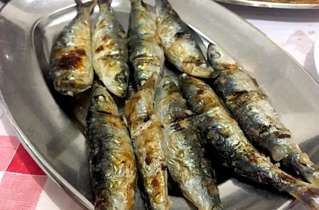 葡萄牙辛特拉美食