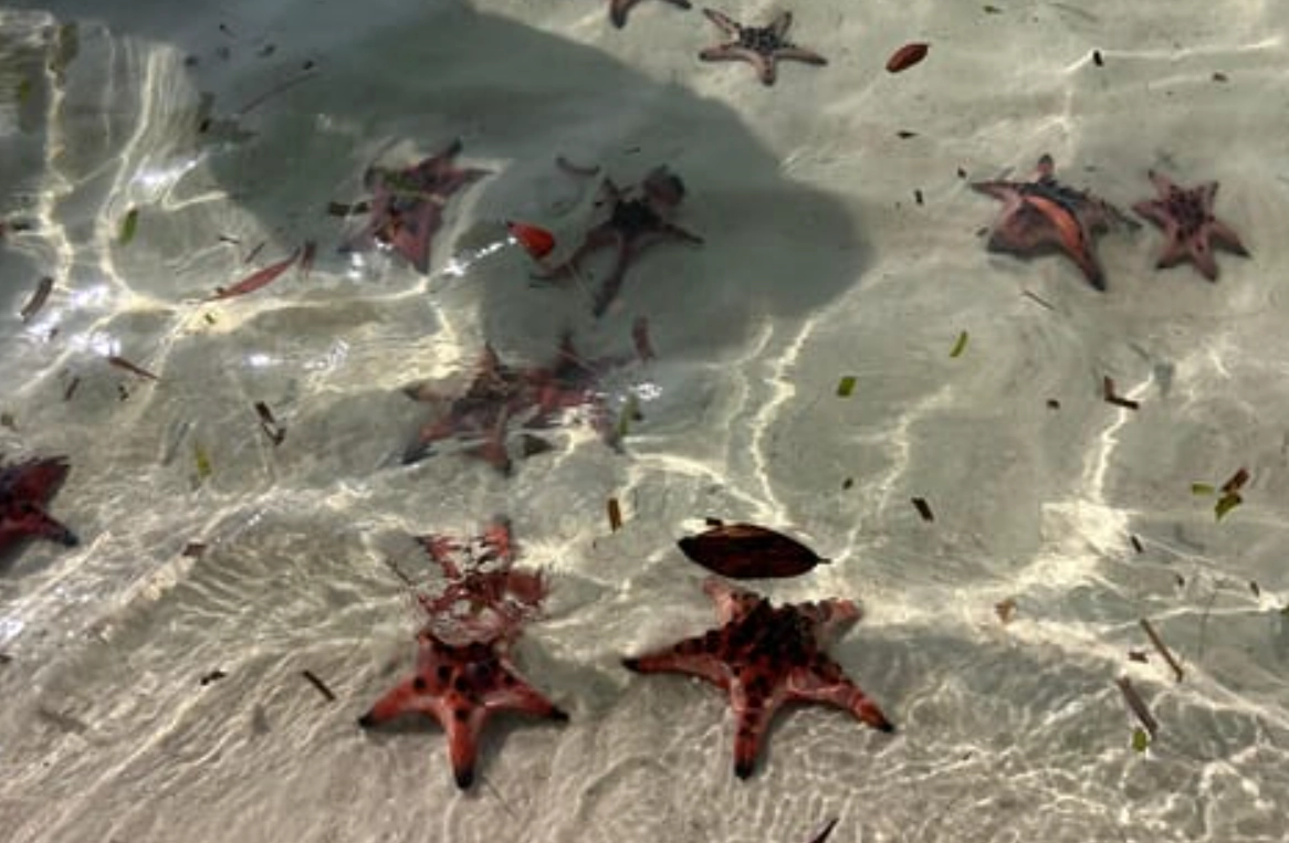 富國島行程規劃