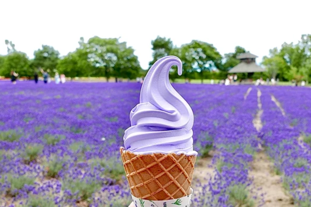 富田農場一日遊攻略