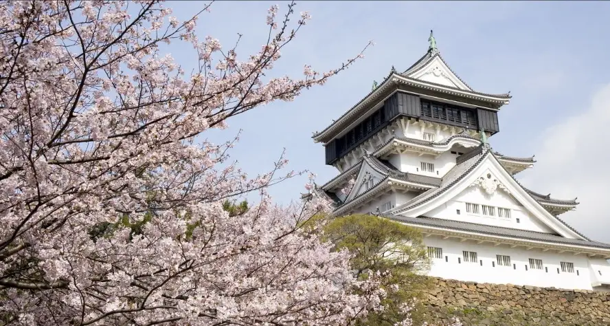 皿倉山夜景 皿倉山夜景