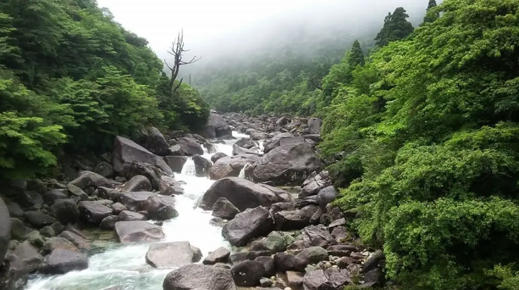 鹿兒島交通攻略 鹿兒島交通攻略