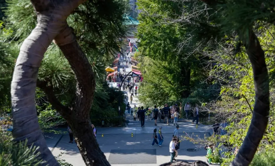 上野公園新設施