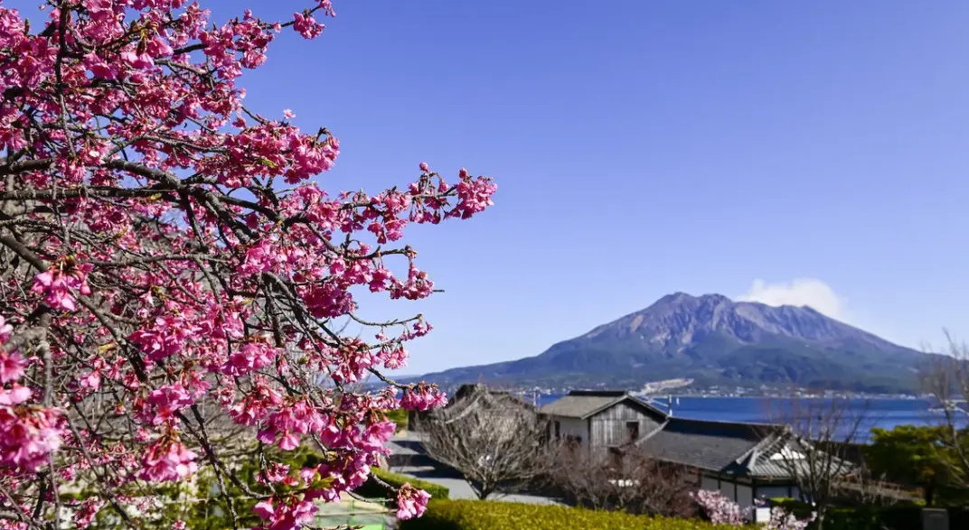 鹿兒島不自駕 鹿兒島不自駕