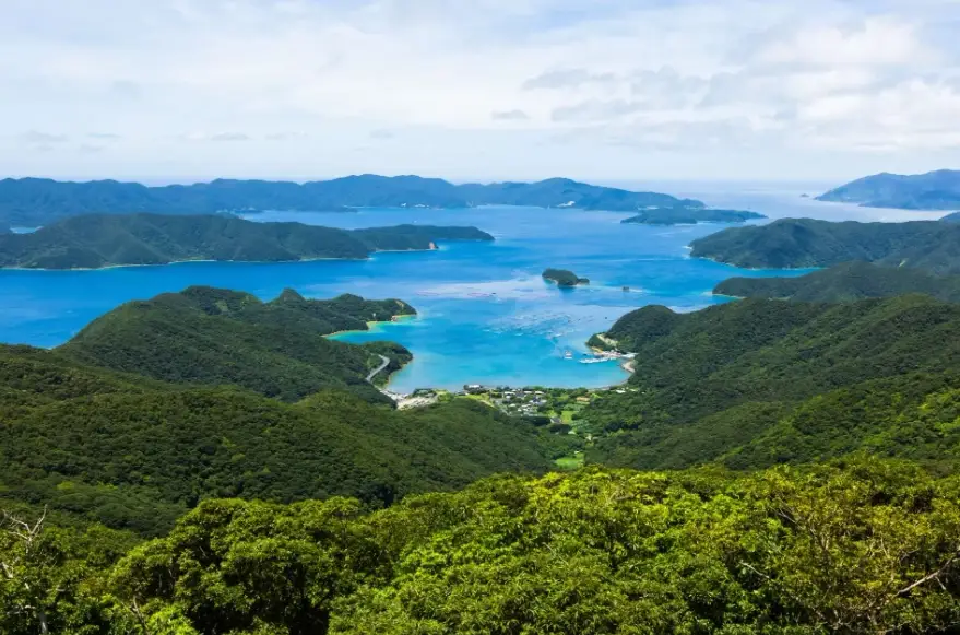 鹿兒島必去景點全攻略：櫻島火山、指宿砂浴與仙巖園親身經驗分享