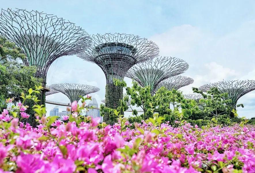 新加坡行程規劃