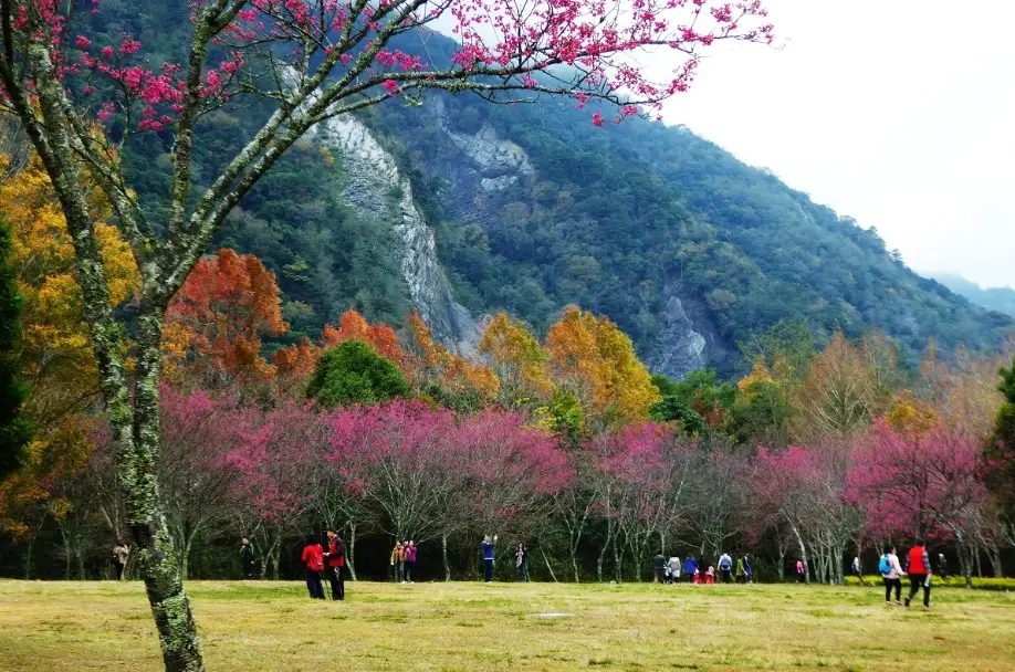 奥萬大住宿 奥萬大住宿