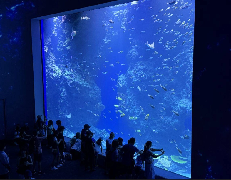 桃園Xpark門票