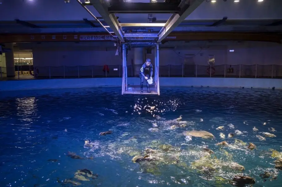 新竹水族館推薦
