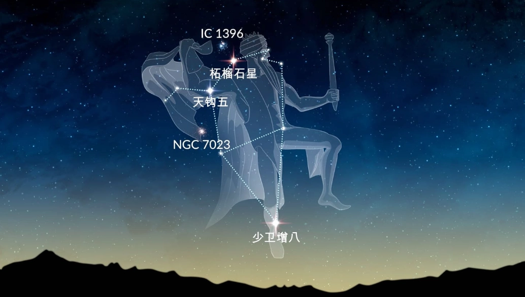 天頂星座事業 天頂星座事業