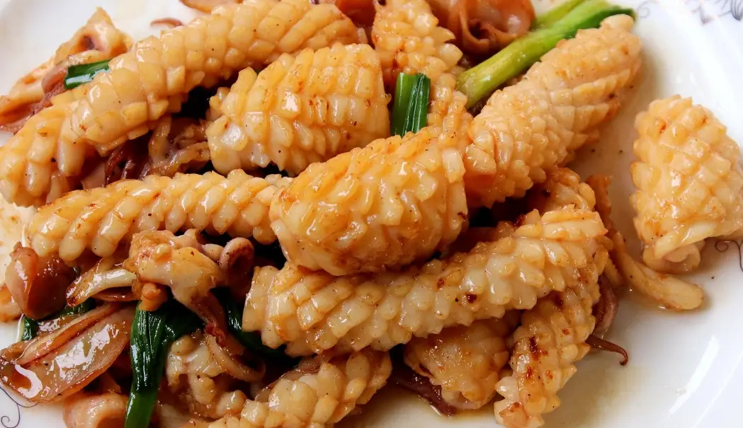 魷魚食譜 魷魚食譜