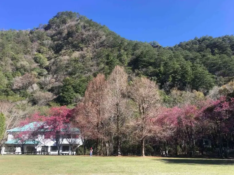 天秤女暗戀徵兆
