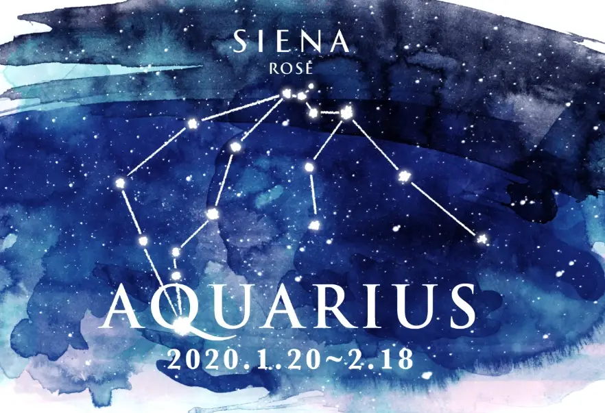 水瓶上升星座 水瓶上升星座