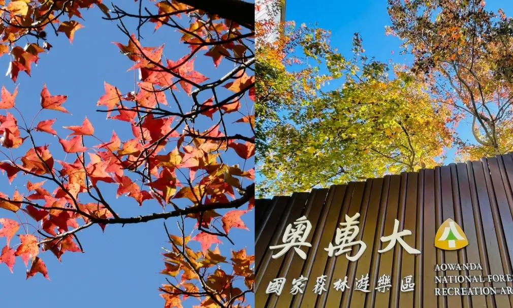 南投客運奧萬大 南投客運奧萬大