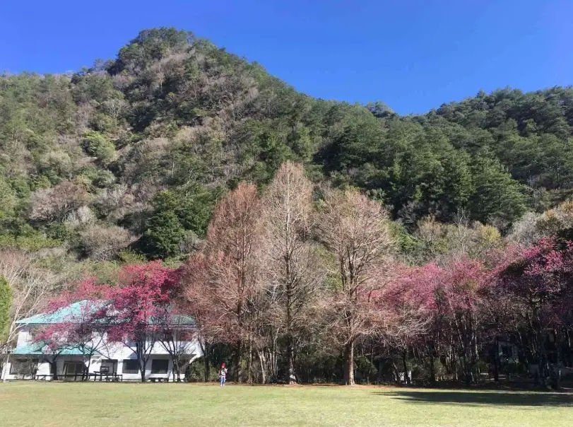 南投客運奧萬大 南投客運奧萬大