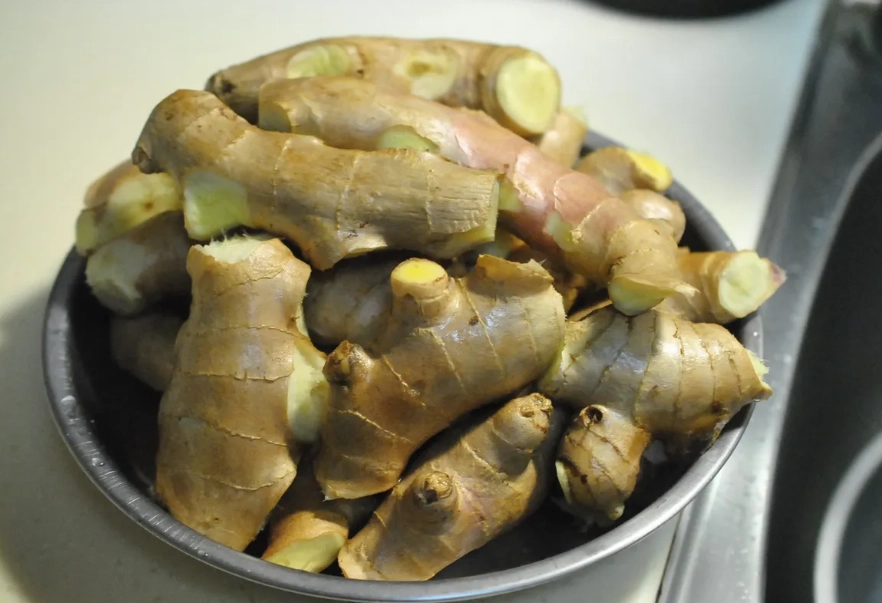 老薑食谱 老薑食谱