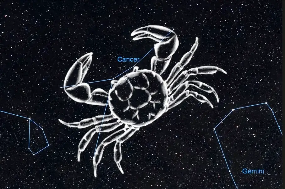巨蟹座 最合 星座 巨蟹座 最合 星座
