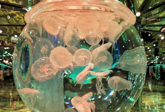 新竹水族館